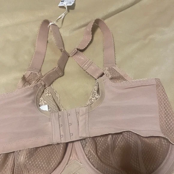 Elomi Elegant Lace Bra in Beige - Picture 7 of 8